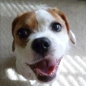 Meet your Posher, Jt